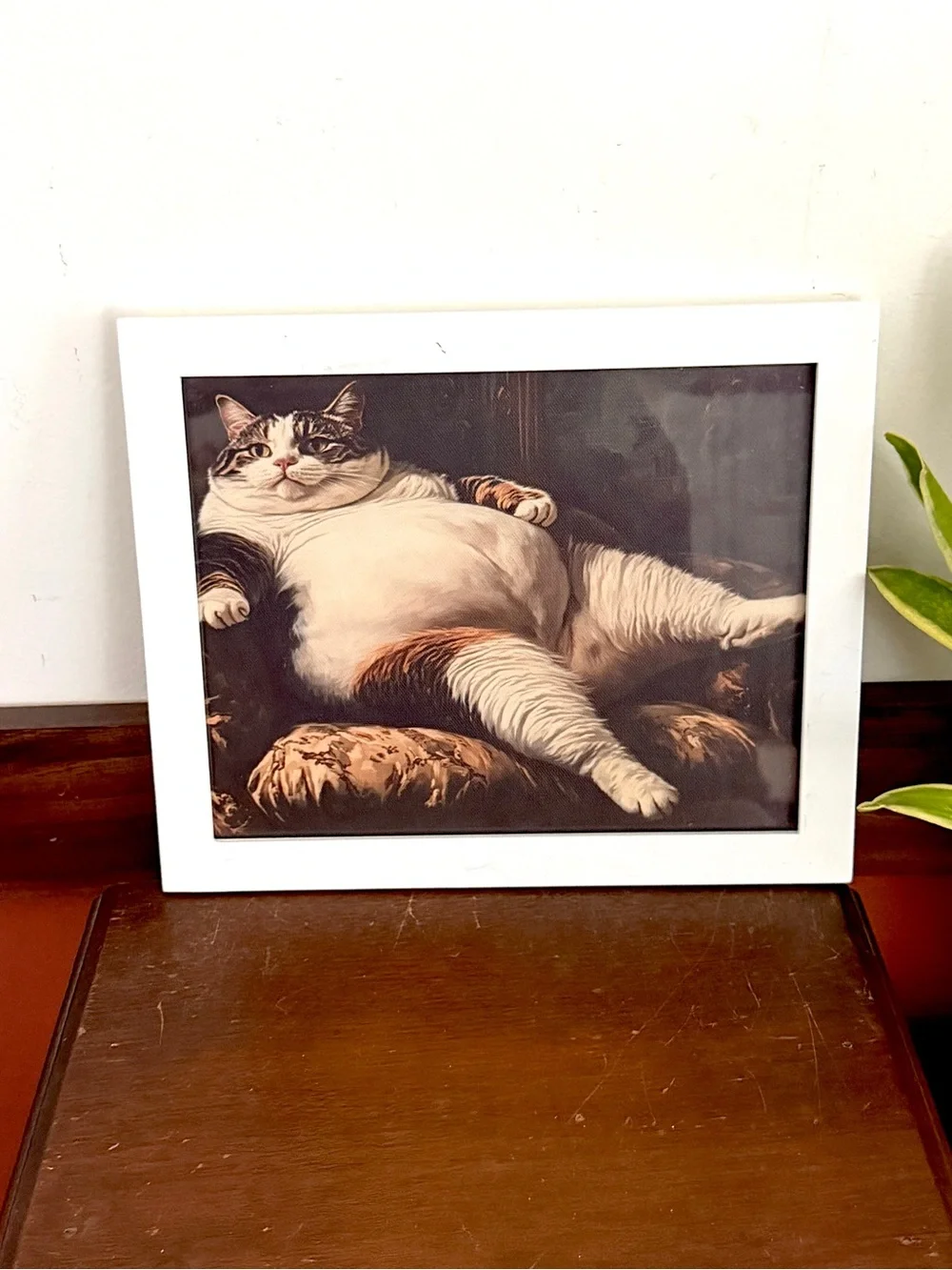 Fat Cat on Couch Quirky Canvas Art Print White Framed Weird Wall Hanging Art